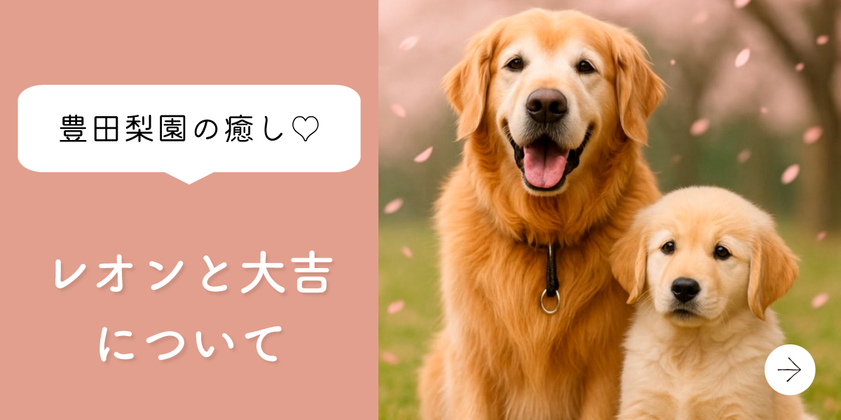 レオンと大吉について